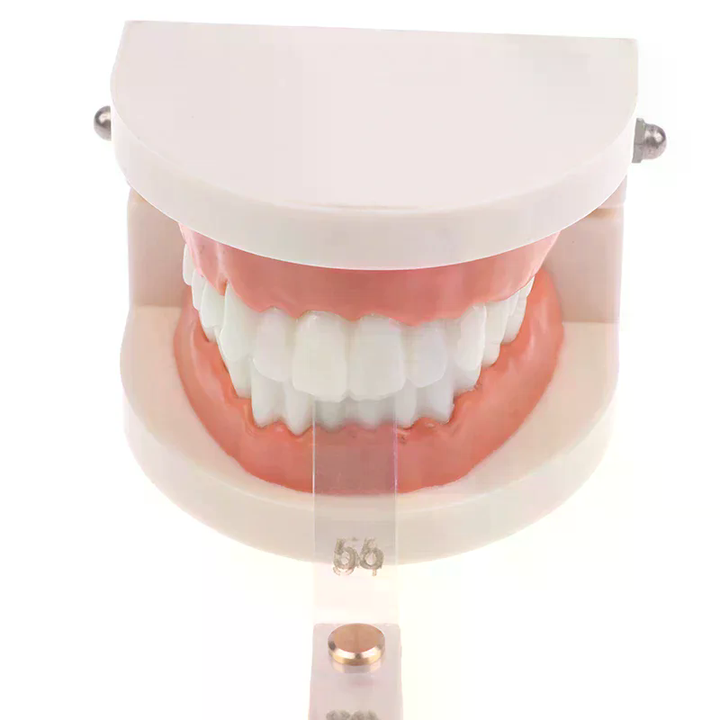 Règle de mesure interproximale - Ruler Set Transparent avis et prix